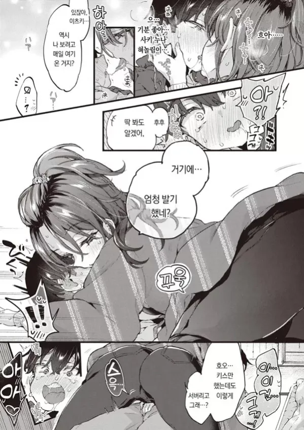 스위트 스파이시