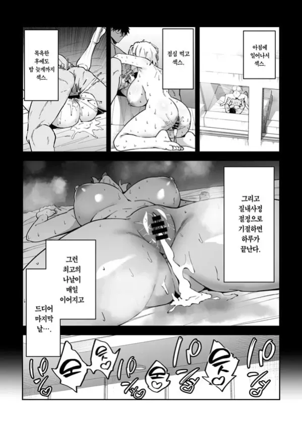 진심교배 3