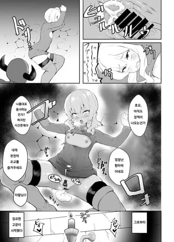 암컷타락한 용사님