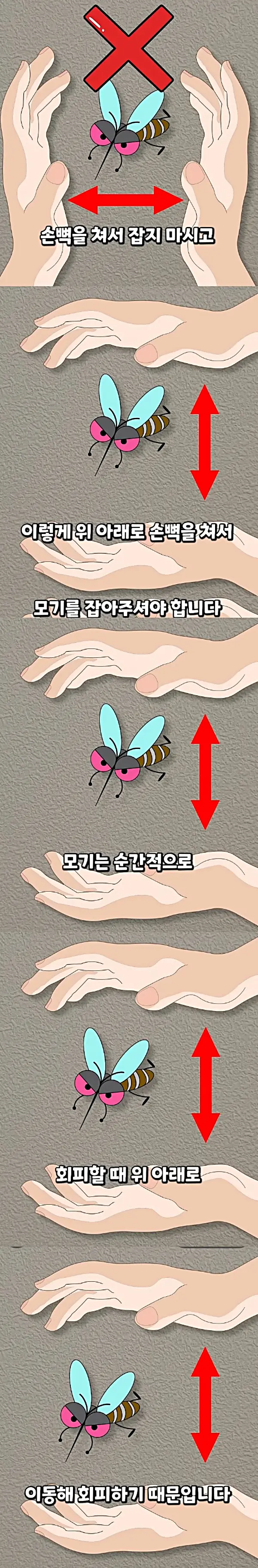 모기 손으로 잡을때 팁